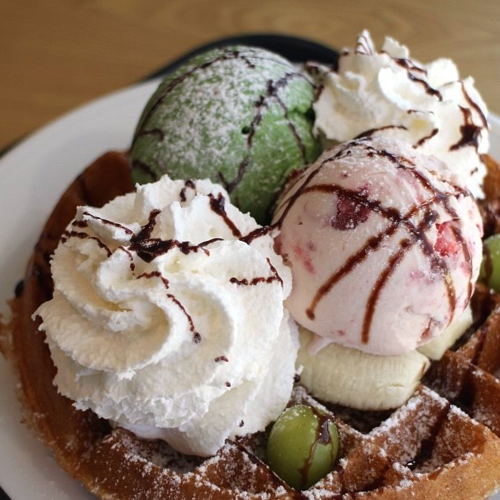 ¾ÆÀ̽ºÅ©¸²¿ÍÇÃ