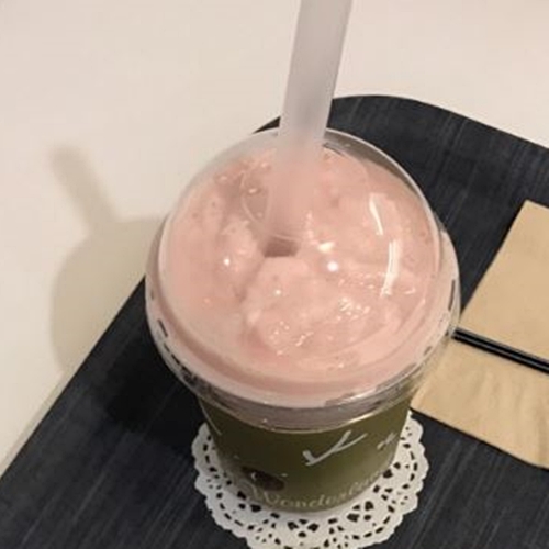 ������Ʈ������