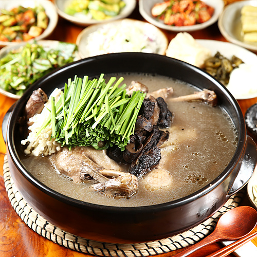 ´ÉÀÌÇѹæ¿À¸®¹é¼÷