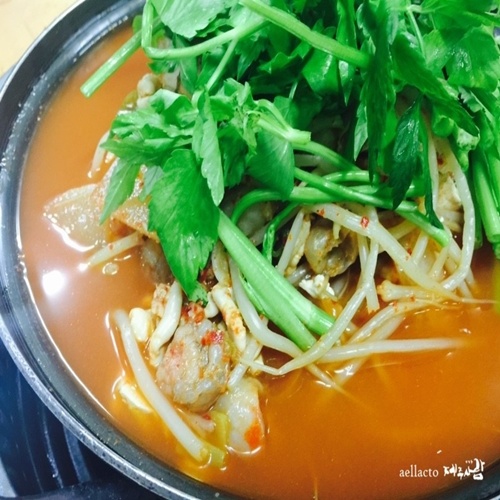 뱸ʸſ