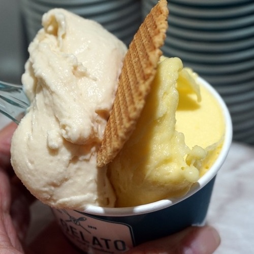 �� - �ΰ�����