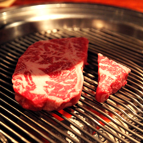 ����(1++) �������