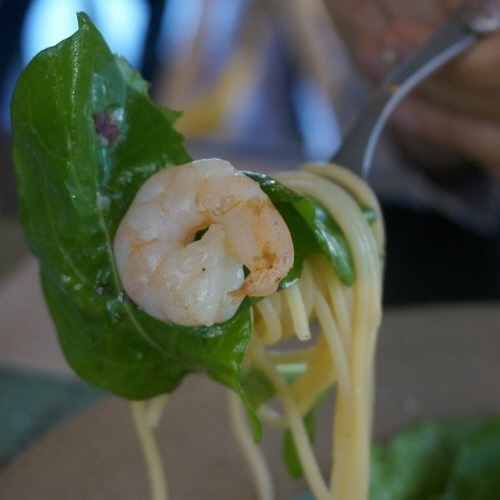 ��������ö��Ľ�Ÿ