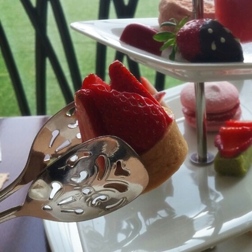 µþ±â ¾ÖÇÁÅÍ´« ¼¼Æ® - ÈÀÌÆ®Å¸¸£Æ®