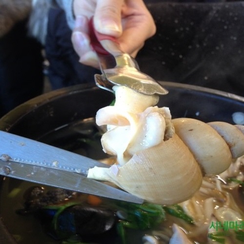 ÇØ¹°¶Ò¹è±â »ó¼¼2