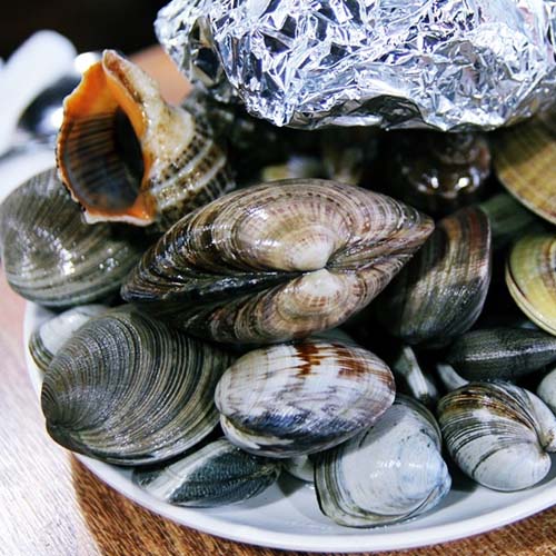 ¸ðµëÁ¶°³±¸ÀÌ (á³)