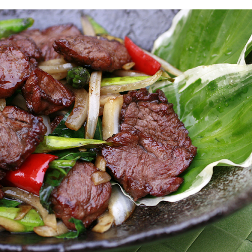 ´À¾î ÆÌ ³²¸¸È£ÀÌ