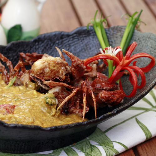 »Ñ ÆÌ ºÀÄ¿¸®