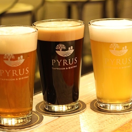 pyrus original tap