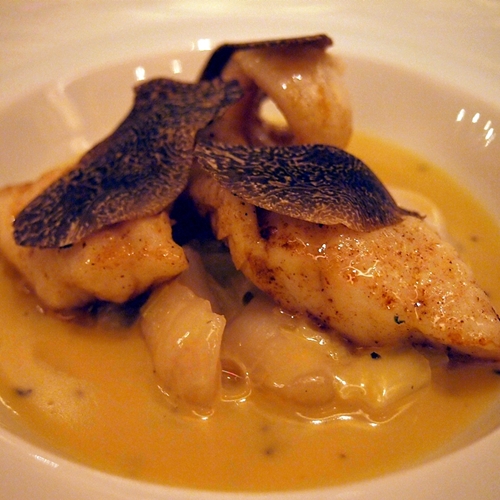 ¹Ç´µ µå ³ë¿¤ »ó¼¼2