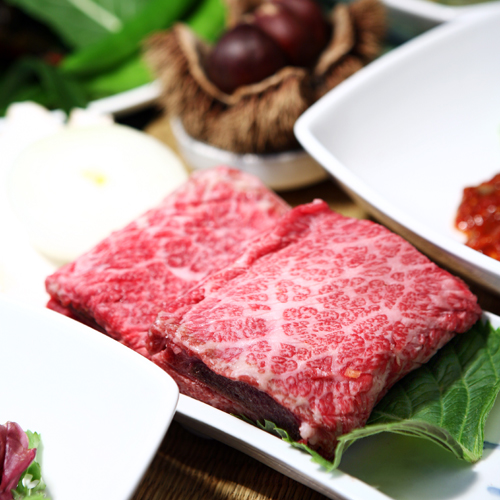 ÇÑ¿ì²Éµî½É