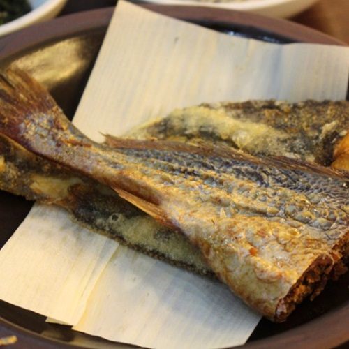 ����_��������