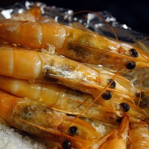 ���첪�� �ұݱ��� ��