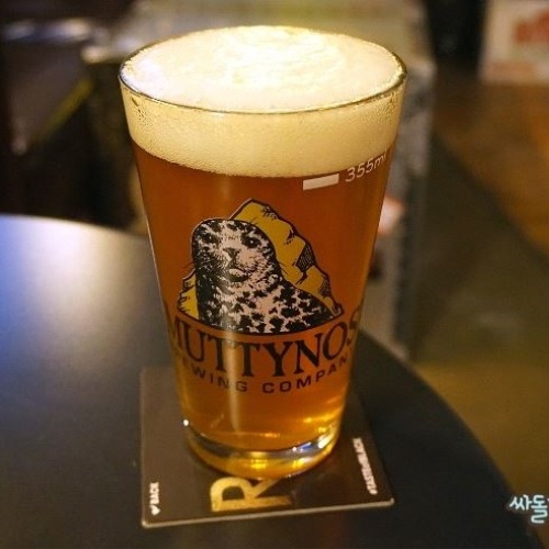 νƮ īε IPA (6.9% 400ml)
