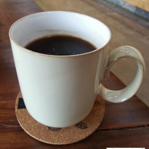 ¾Æ¸Þ¸®Ä«³ë