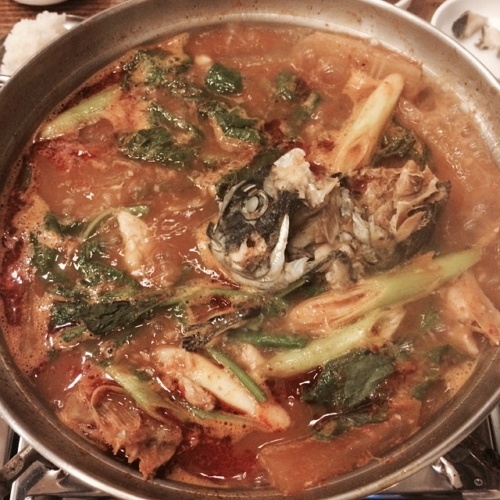 ���ȸ - �ſ���