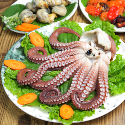 ¹®¾î(¼÷ȸ.¹«Ä§)