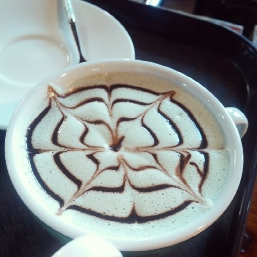 ¹ÎÆ®ÃÊÄÚ¶ó¶¼