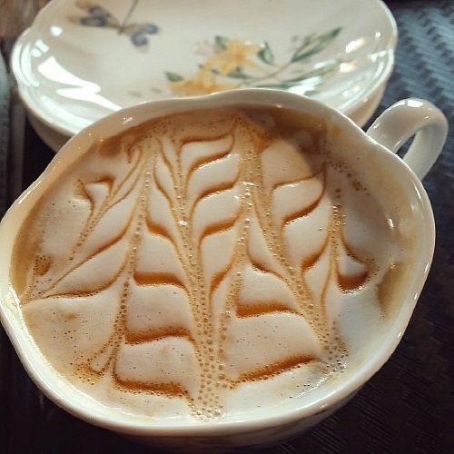 Ä«¶ó¸á ¸¶³¢¾Æ¶Ç