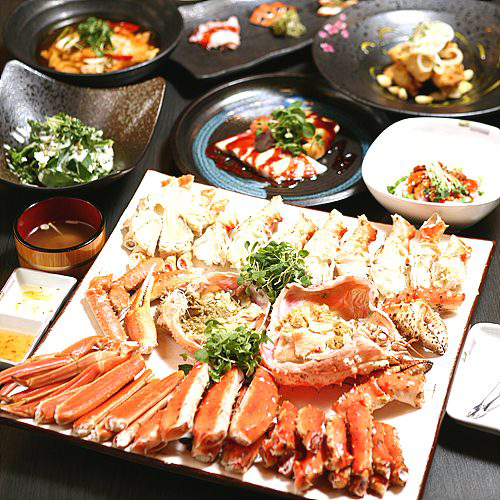 ŷũ�� & ���