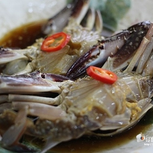 �庸������-�������