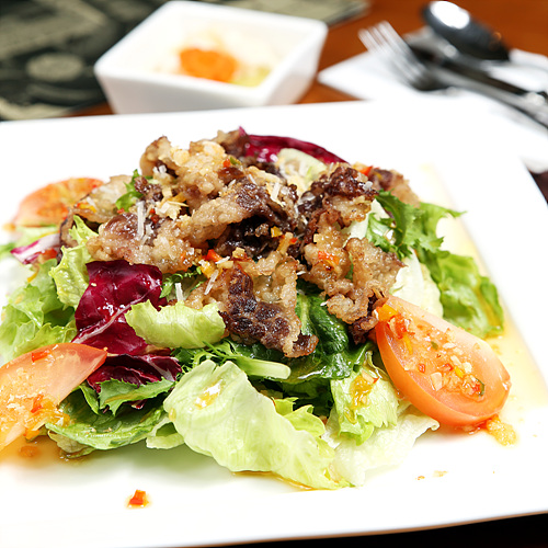 ���� ������Ż �巹�� ������